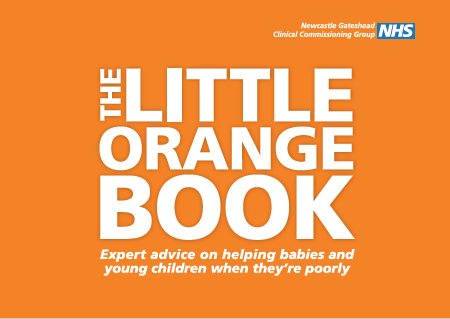 Little_Orange_Booklet